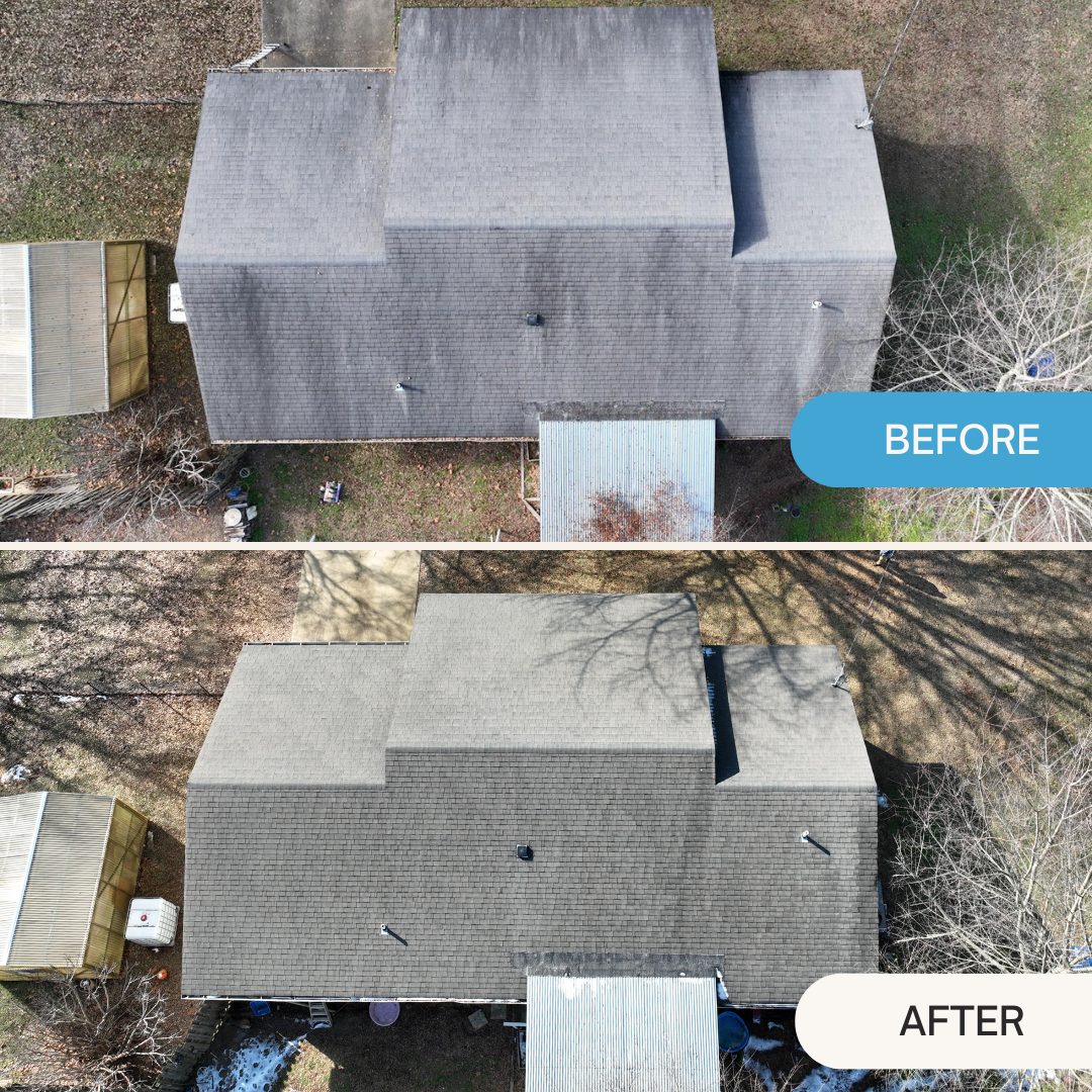 Before and after roof rejuvenation showing removal of dark streaking and restored uniform color